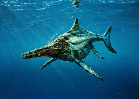 Ichthyosaurus-02